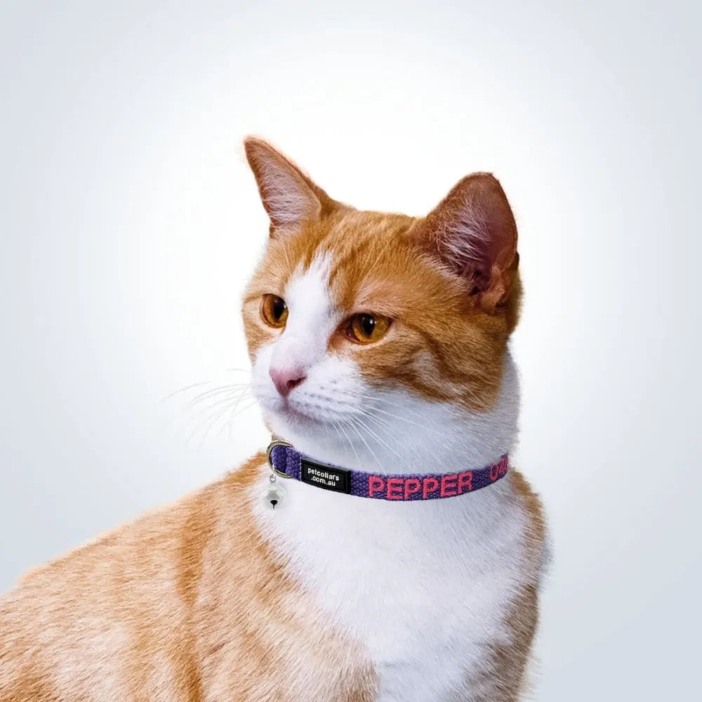 Stunning Limited Range Cat Training Collar image