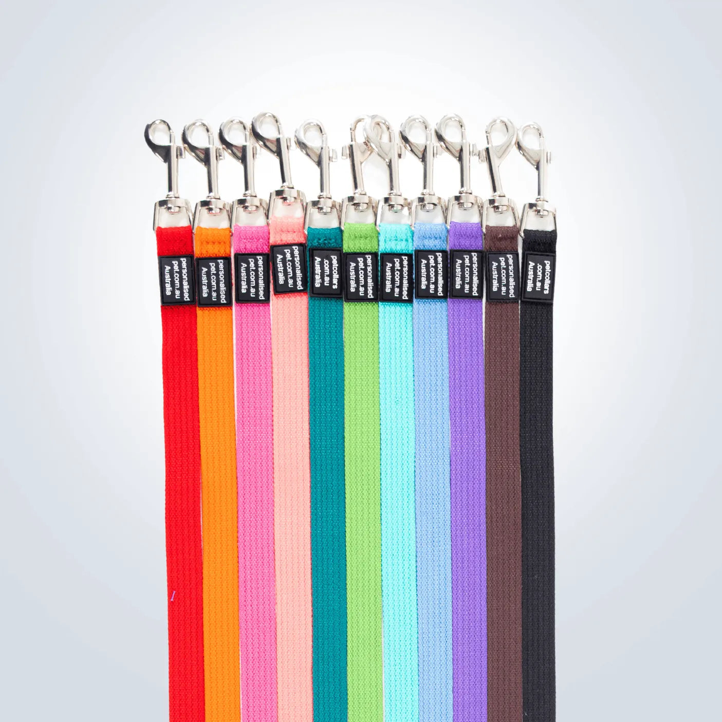 personalised cat lead