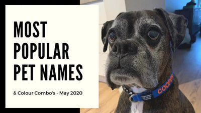 Most Popular Dog & Cat Names - May 2020