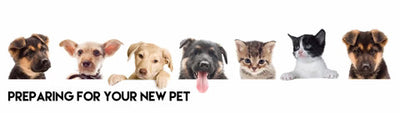 How to Prepare for a Brand New Pet
