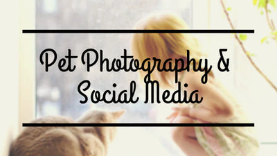 How to take Better Pet Photos for Social Media