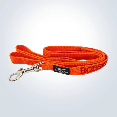 cat lead with name