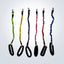 bungee lead for dogs