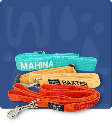 personalised pet lead