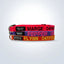 pet collar with name