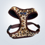 PET HARNESS Leopard - Embroidered
