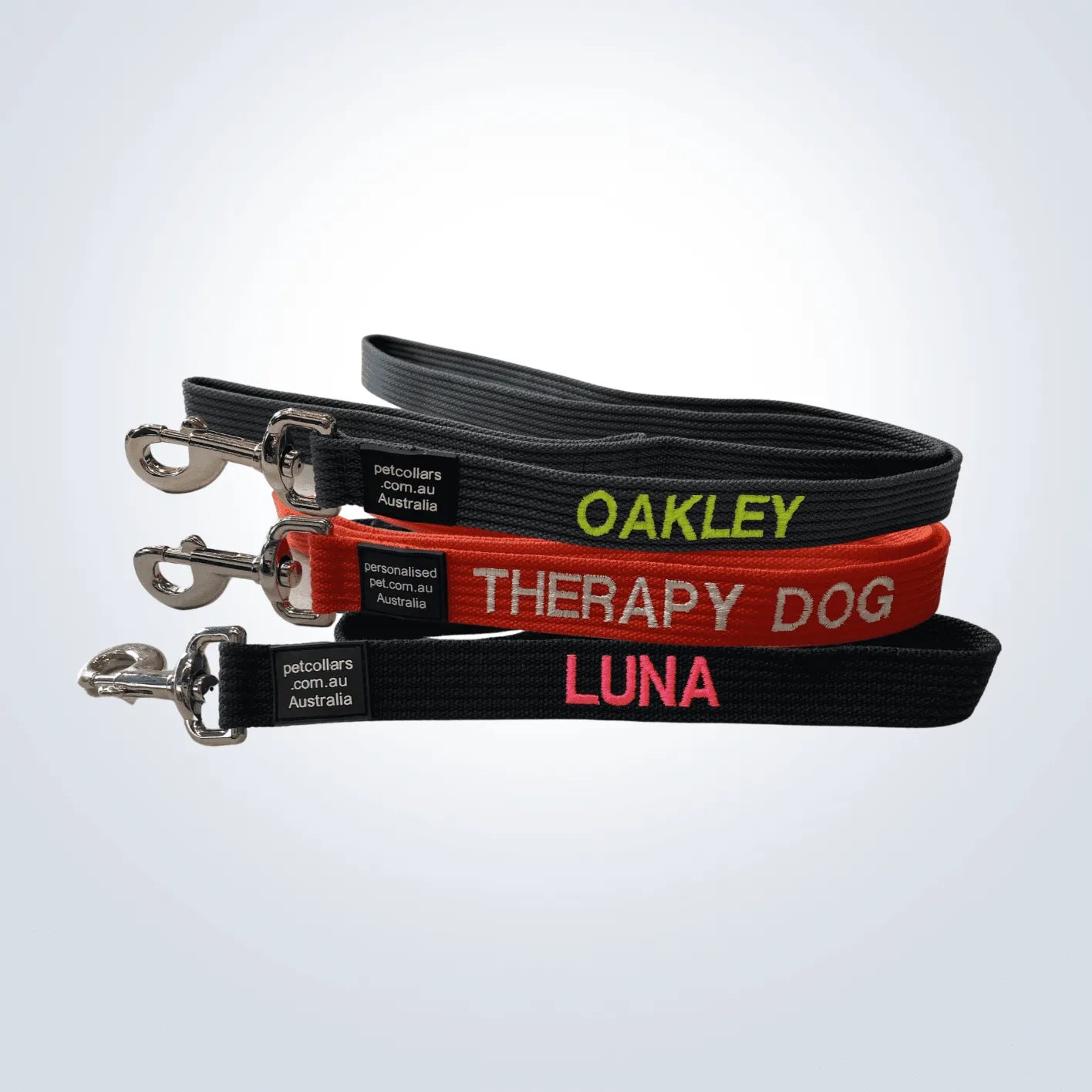 custom pet lead