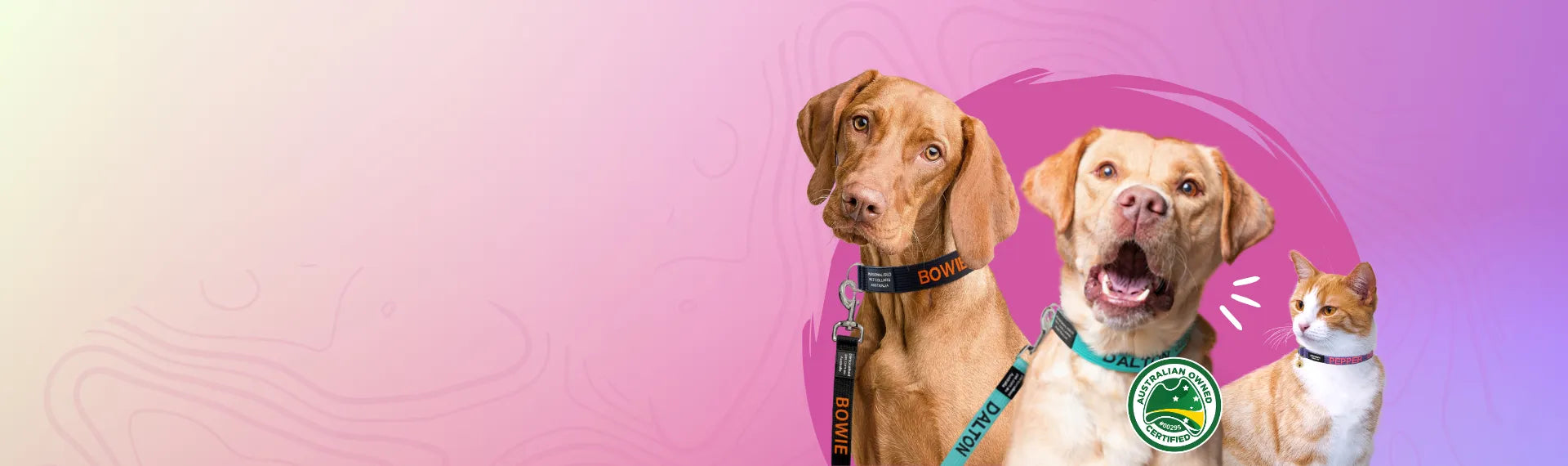 personalised pet collar