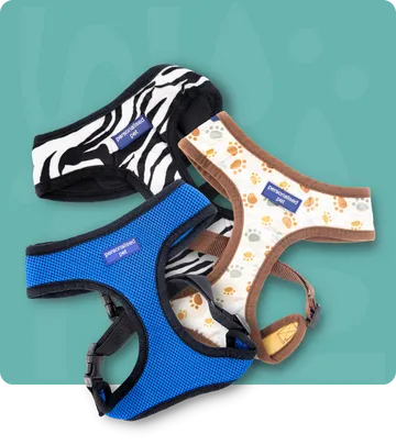 personalised pet harness