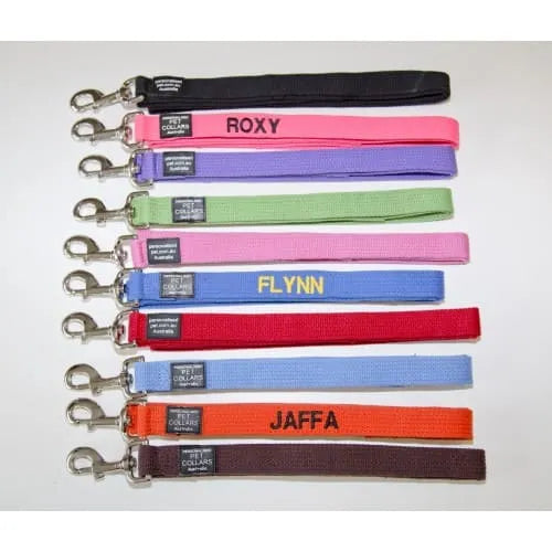 dog lead with name and number