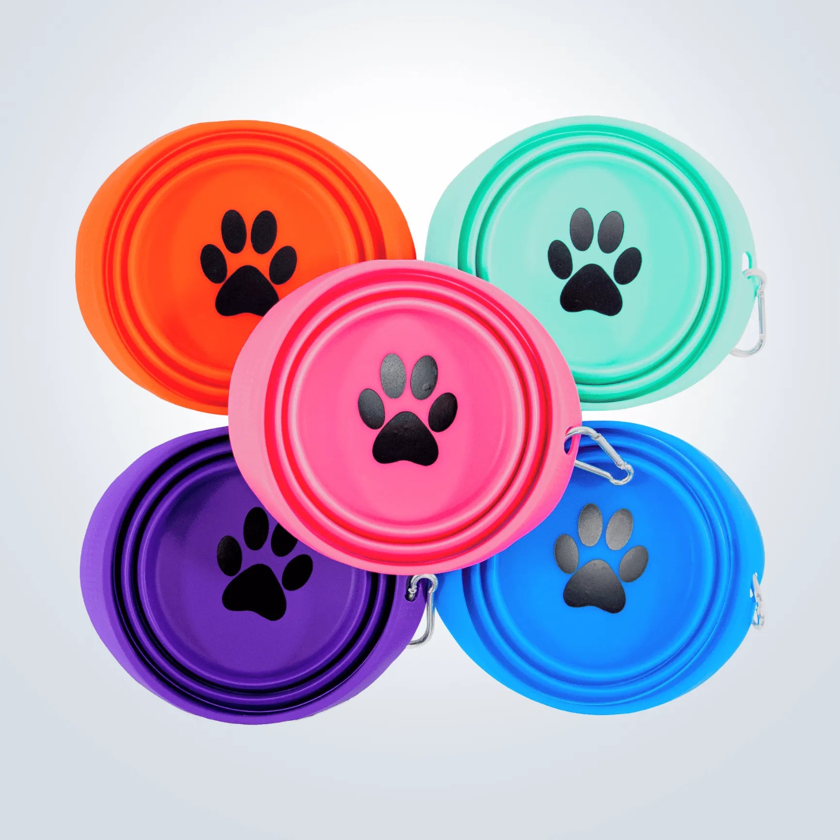 portable pet bowl