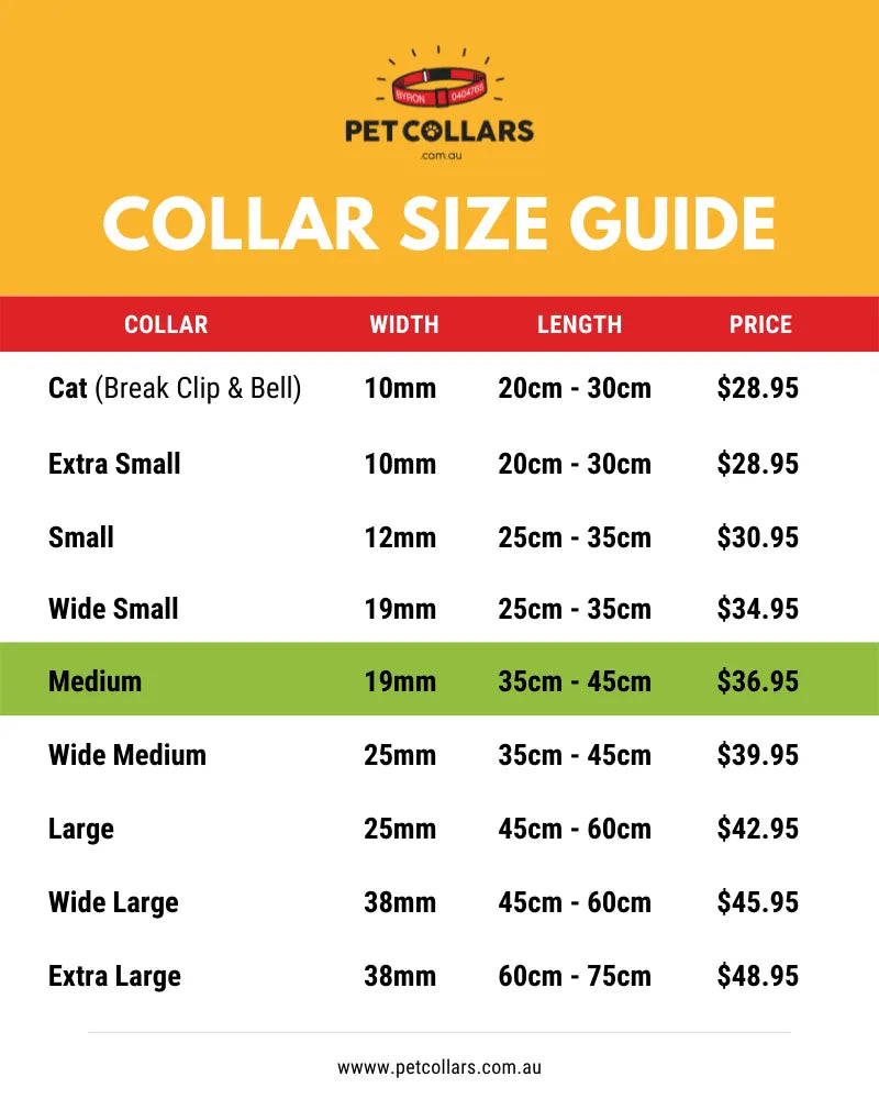 Colar Sizes Table Medium Dog Collar 35-45cm - Sleek, Custom, & Comfort Fit – PetCollars ...