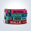 pet collar with name