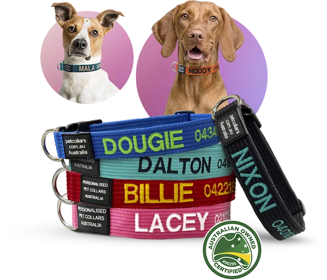 personalised pet collars